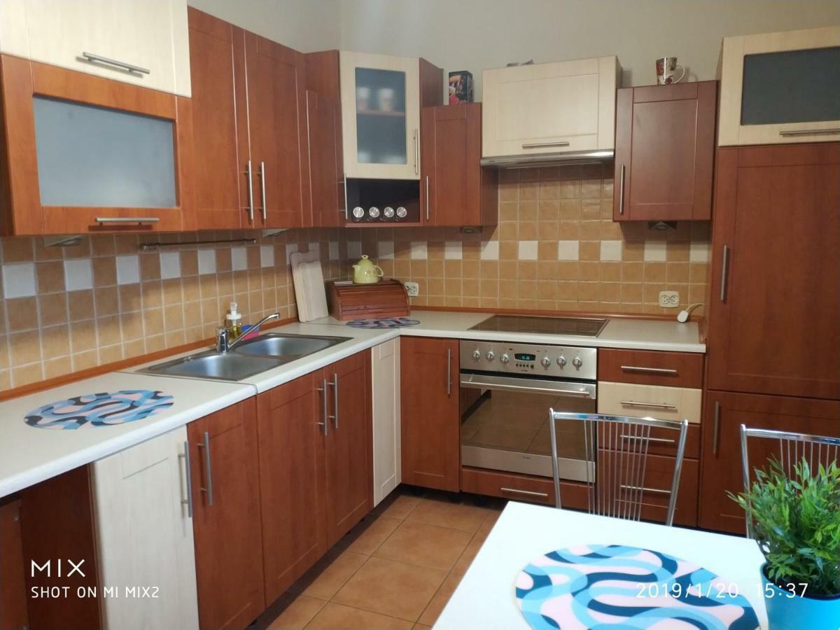 Apartament Sofia Agroturystyka Ryczow Dış mekan fotoğraf
